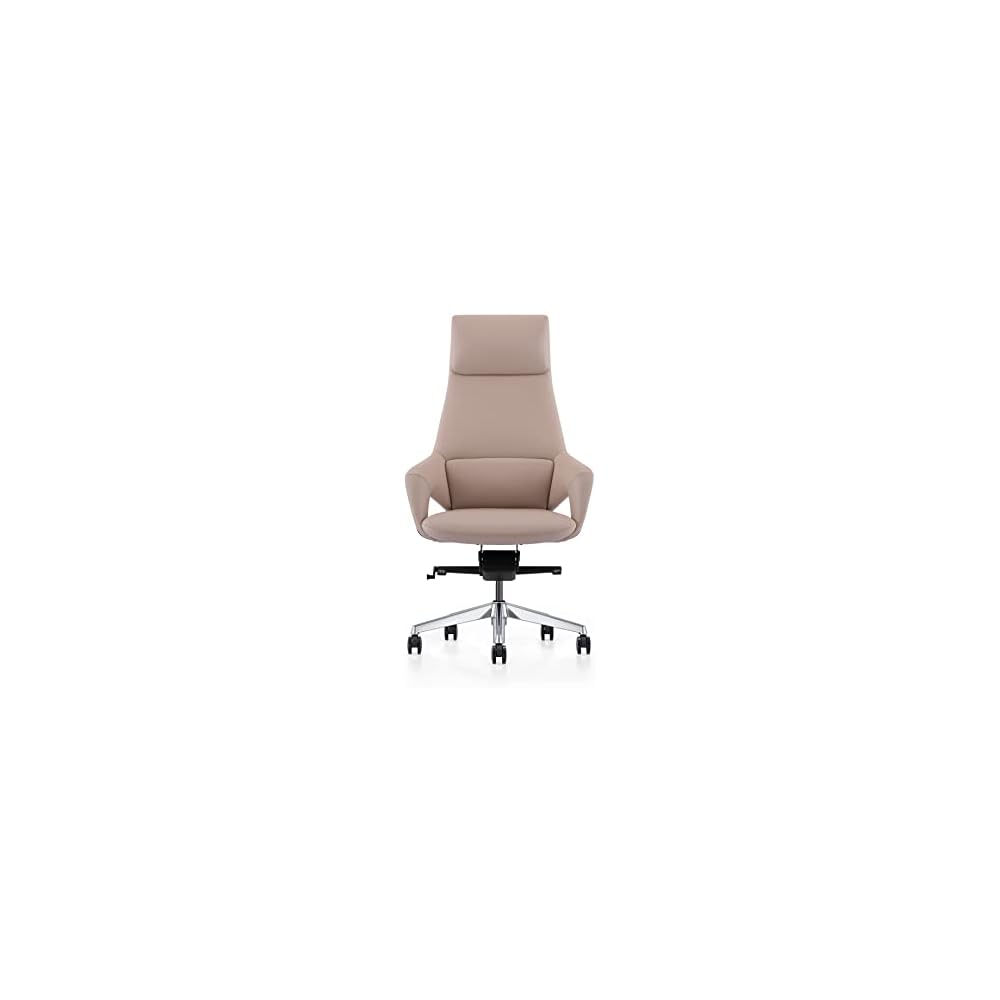 Limari Home Melrost Collection Modern High Back Adjustable Genuine Leather Executive Office Chair, Beige, Silver